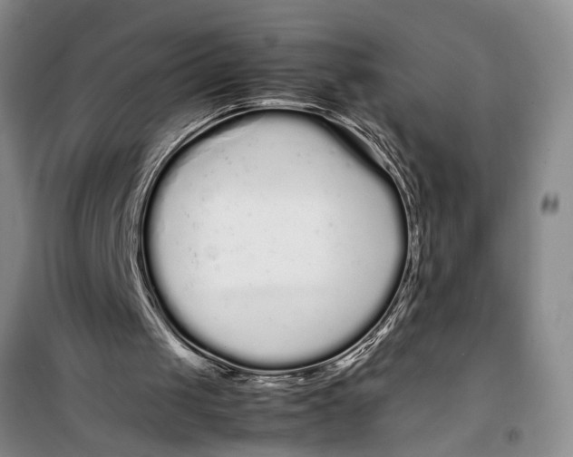 X0000099430049200805301437