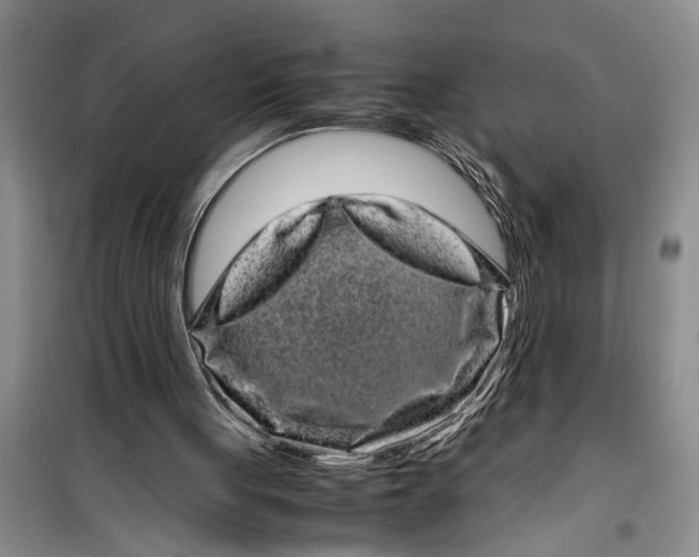 X0000099430051200805301437