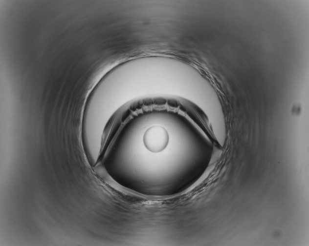 X0000099430052200805301437