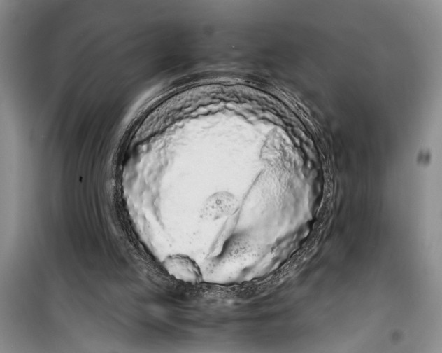 X0000099430053200805301437