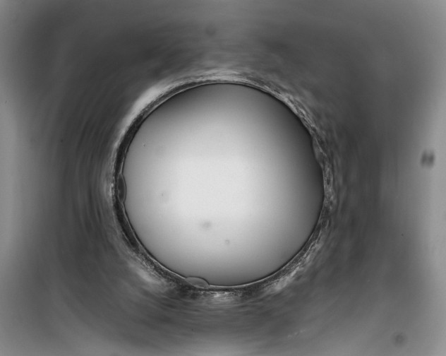 X0000099430056200805301438