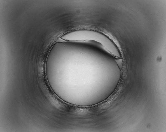 X0000099430057200805301438