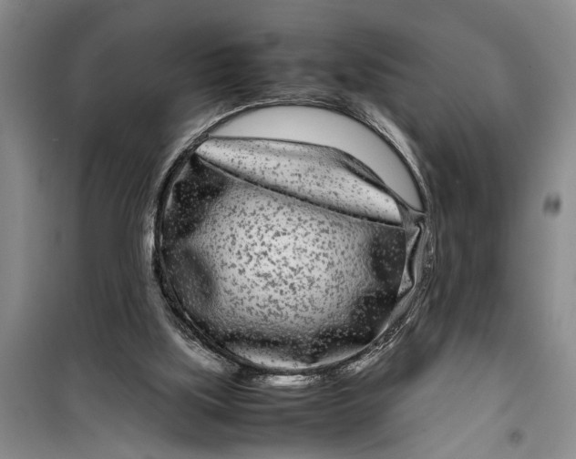 X0000099430059200805301438