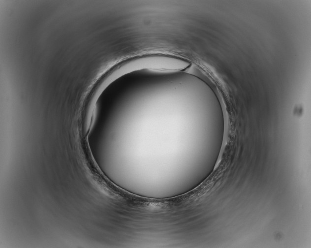 X0000099430060200805301438