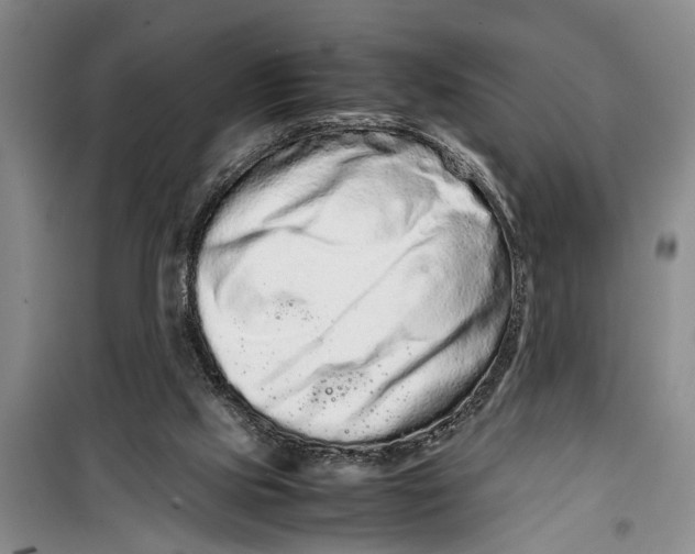 X0000099430061200805301438