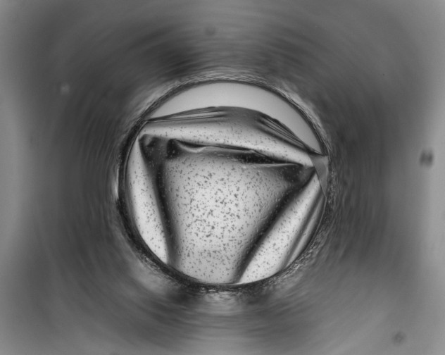 X0000099430062200805301438