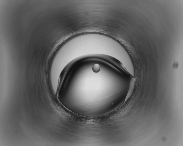 X0000099430064200805301438