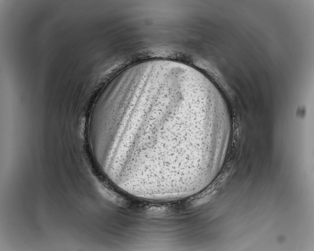 X0000099430066200805301438