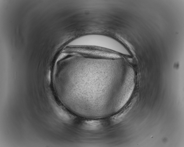 X0000099430067200805301438