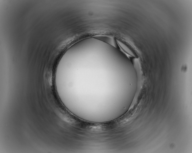 X0000099430068200805301438