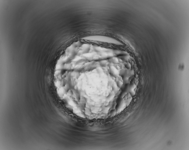 X0000099430069200805301438