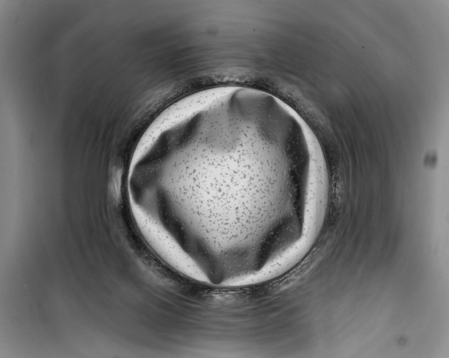 X0000099430070200805301438