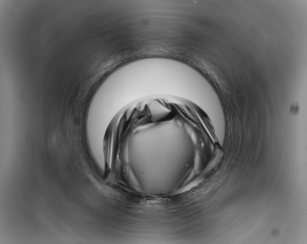 X0000099430072200805301438