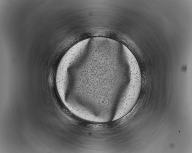 X0000099430074200805301438