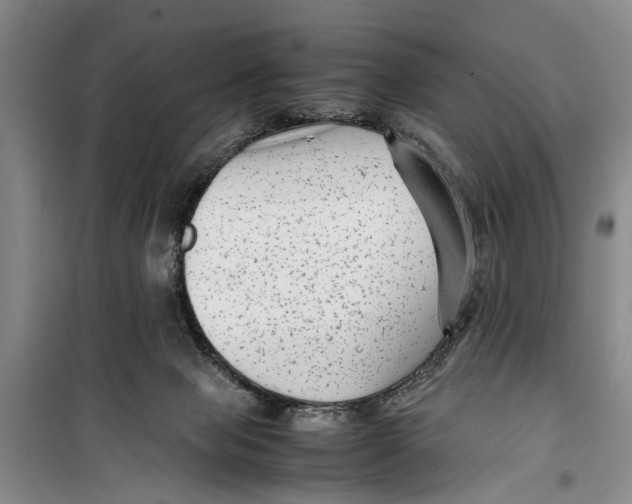 X0000099430077200805301438