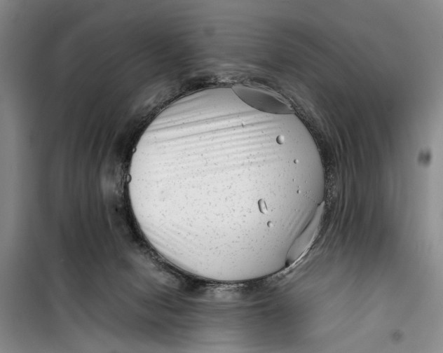 X0000099430078200805301438