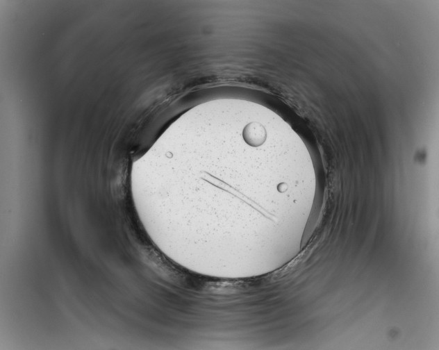 X0000099430082200805301438