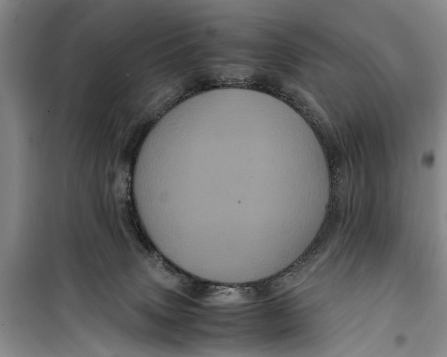 X0000099430083200805301438