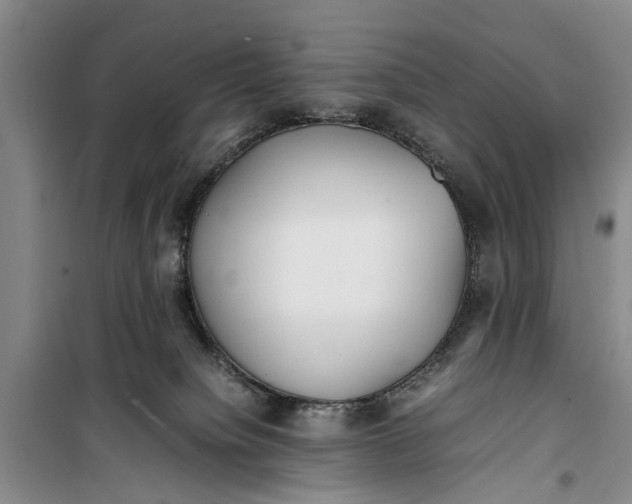 X0000099430084200805301438