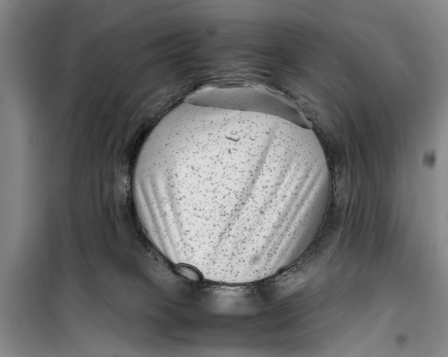 X0000099430085200805301438