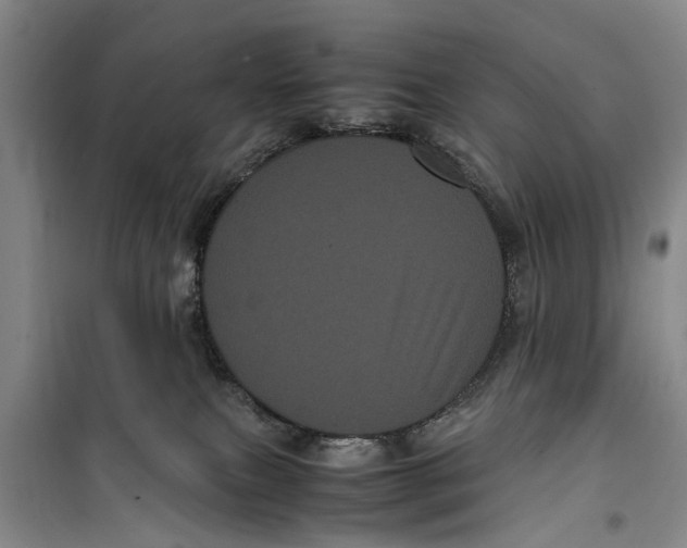 X0000099430087200805301438