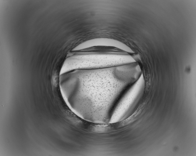 X0000099430090200805301438