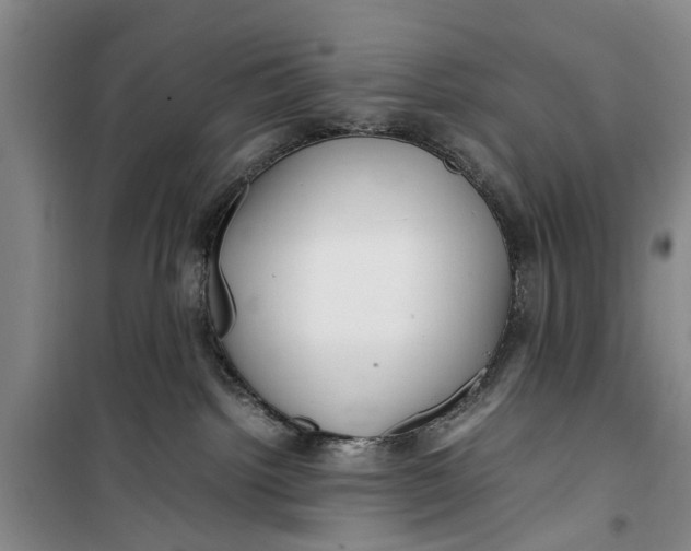 X0000099430092200805301438