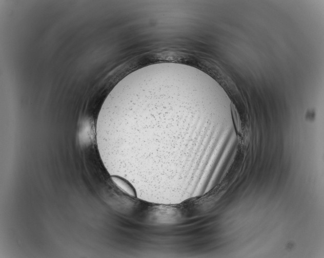 X0000099430095200805301438