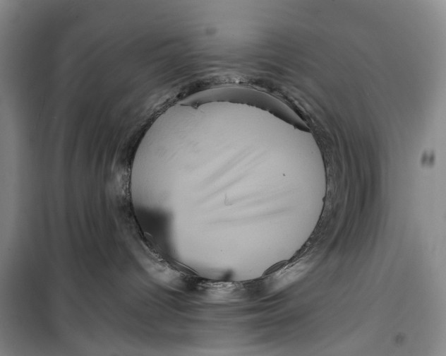 X0000099430096200805301438