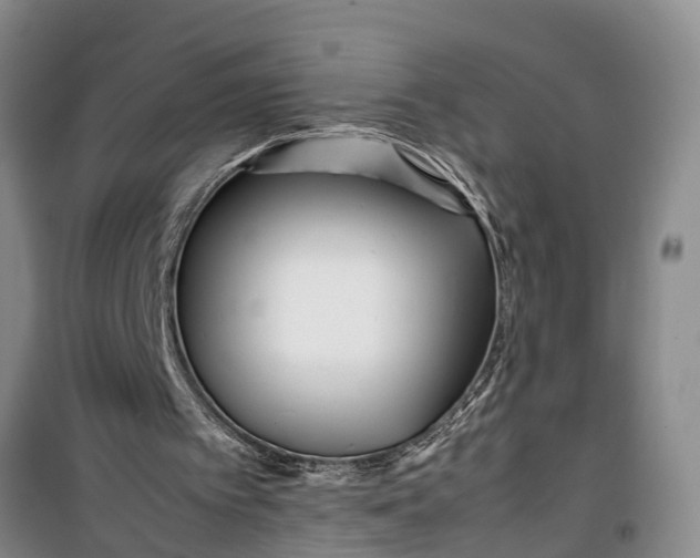 X0000099430097200805301437