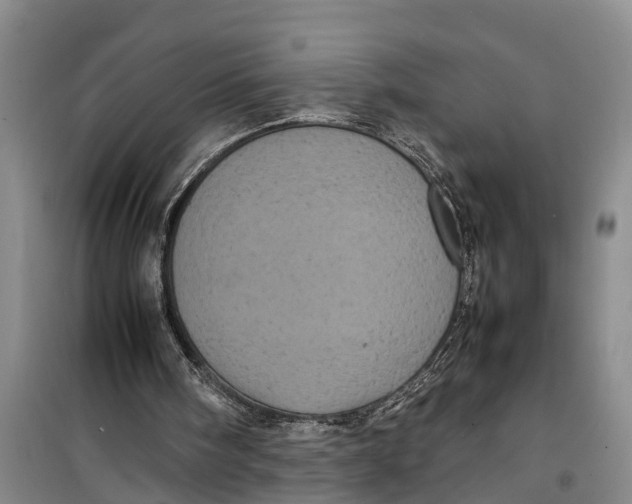 X0000099430098200805301437