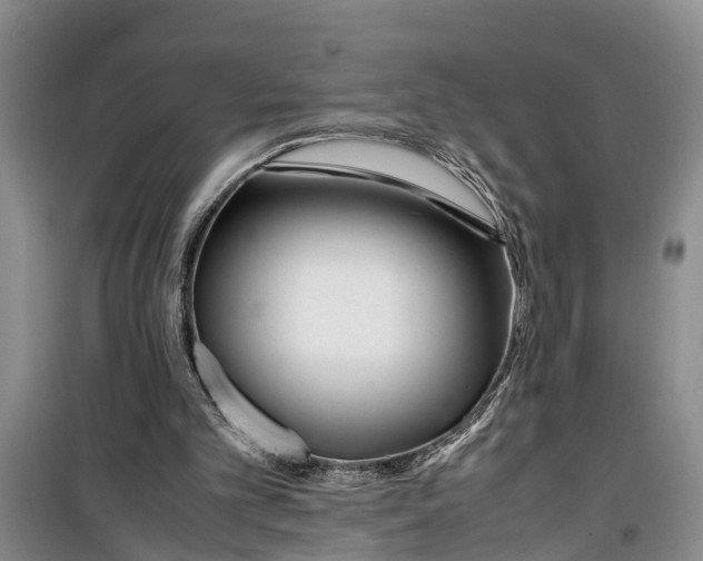 X0000099430101200805301437