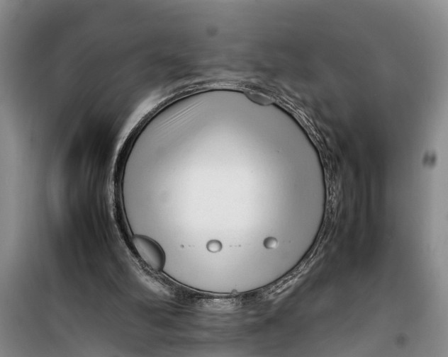 X0000099430102200805301437