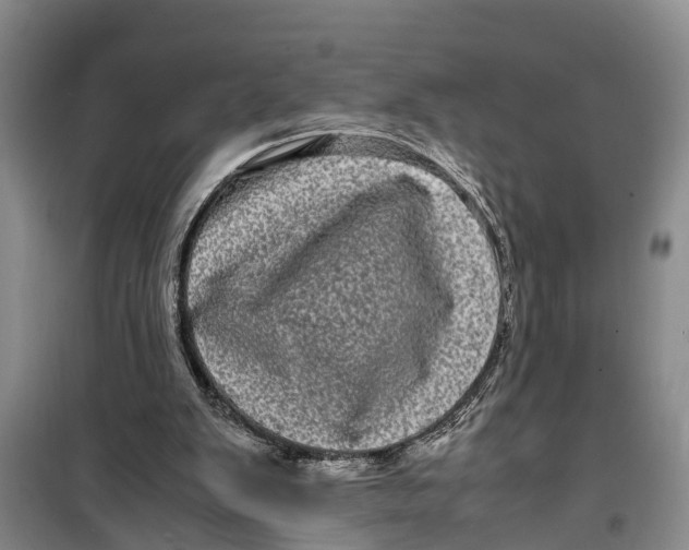 X0000099430103200805301437