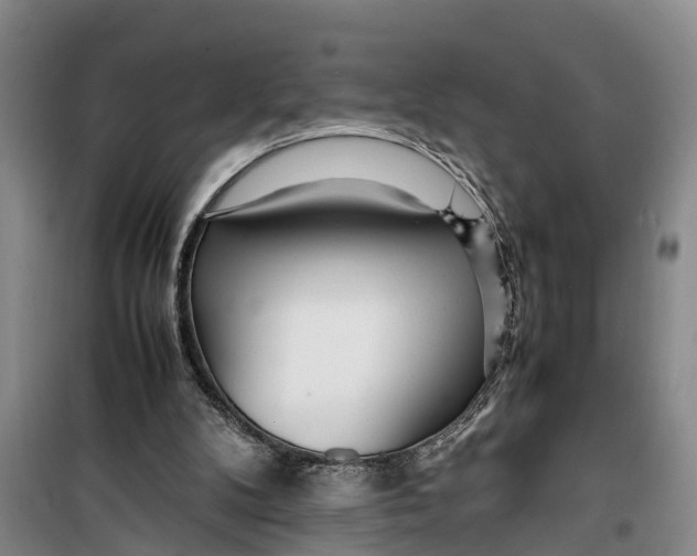 X0000099430104200805301437