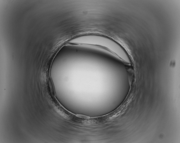 X0000099430105200805301437