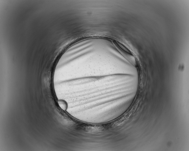 X0000099430107200805301437