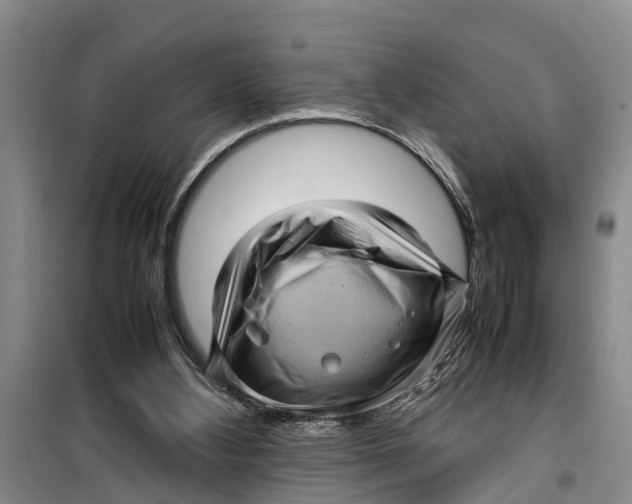 X0000099430108200805301437