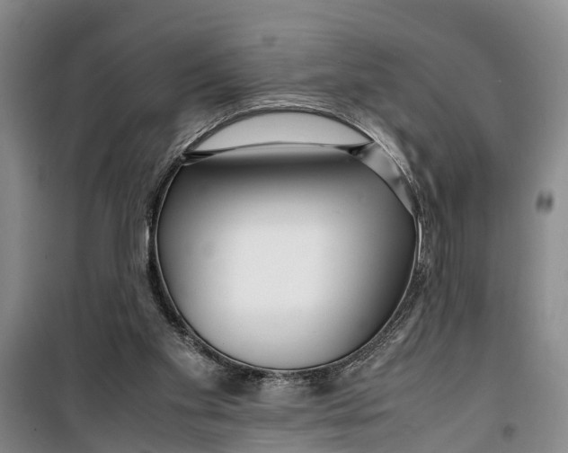 X0000099430109200805301437