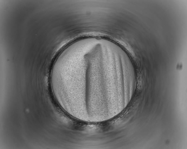 X0000099430111200805301437