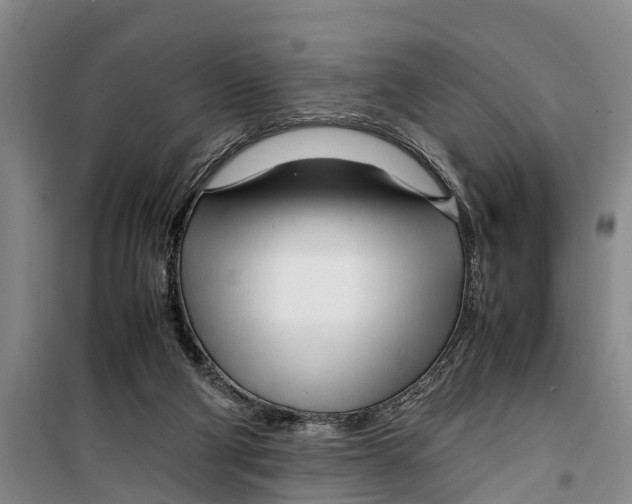 X0000099430114200805301437