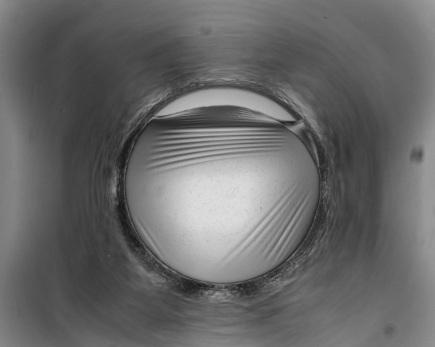 X0000099430115200805301437