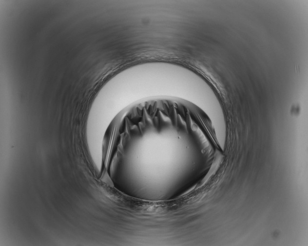 X0000099430117200805301437