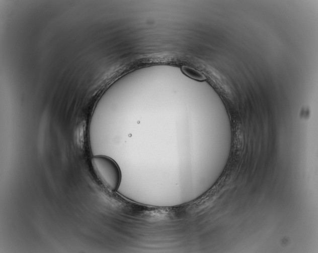 X0000099430118200805301437