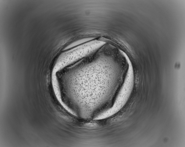 X0000099430119200805301437