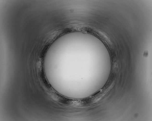 X0000099430121200805301437