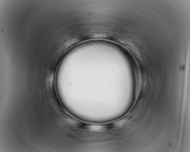 X0000099430123200805301437