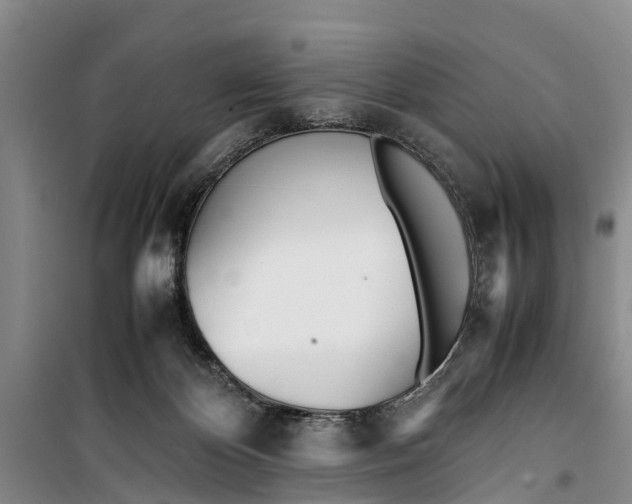 X0000099430124200805301437