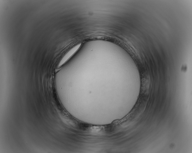 X0000099430126200805301437