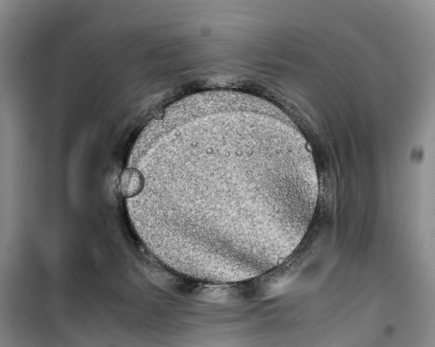 X0000099430127200805301437